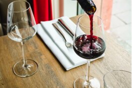 WijnSpijs Wandeling Den Haag