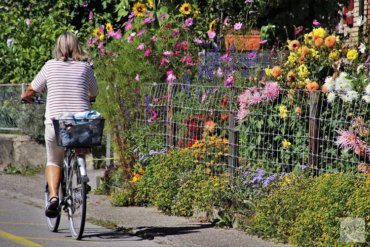 Donderdag verkeersonderzoek rotonde woensdag 9 september 2020