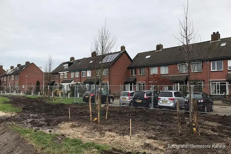 Aanplant bomen in de parkstrook gestart