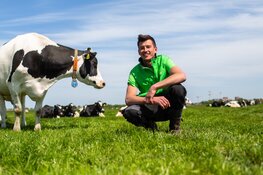 Open Boerderijdagen 2024: boeren in Zuid-Holland laten zien hoe zij bijdragen aan een betere morgen