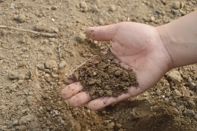 Landelijke Compostdag
