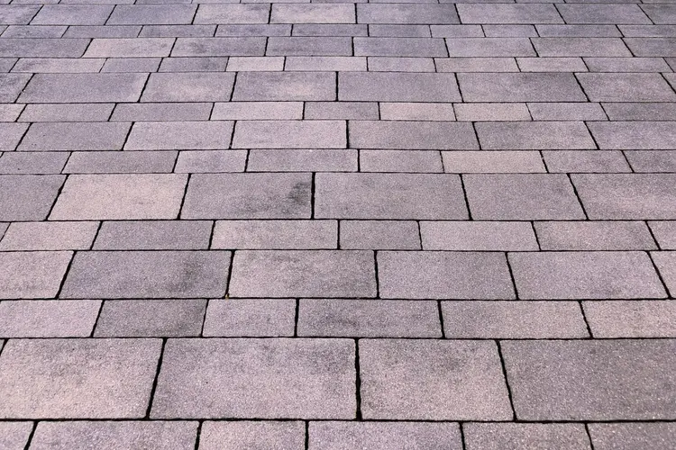 Plantjesdag NK Tegelwippen