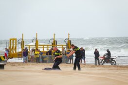 International Search And Rescue Event (SAR Katwijk) 2025 trekt veel bezoekers