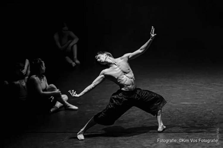 Beleef een onvergetelijke avond met het Ukrainian International Ballet in Theater De Veste in Delft!