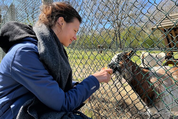 PvdA: Panbos mag niet te koop!
