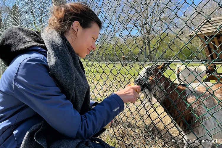 PvdA: Panbos mag niet te koop!