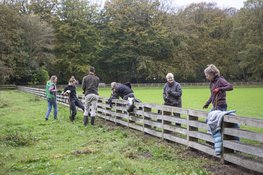 Natuurwerkdag zaterdag 7 november op Landgoed Nieuw Leeuwenhorst: samen werken aan natuur en erfgoed